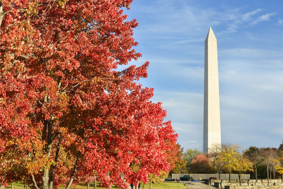 bigstock Washington DC Washington Mon 790049021