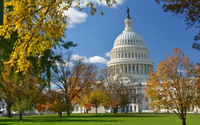 5 Spots Near Washington, D.C. To See Fall Foliage