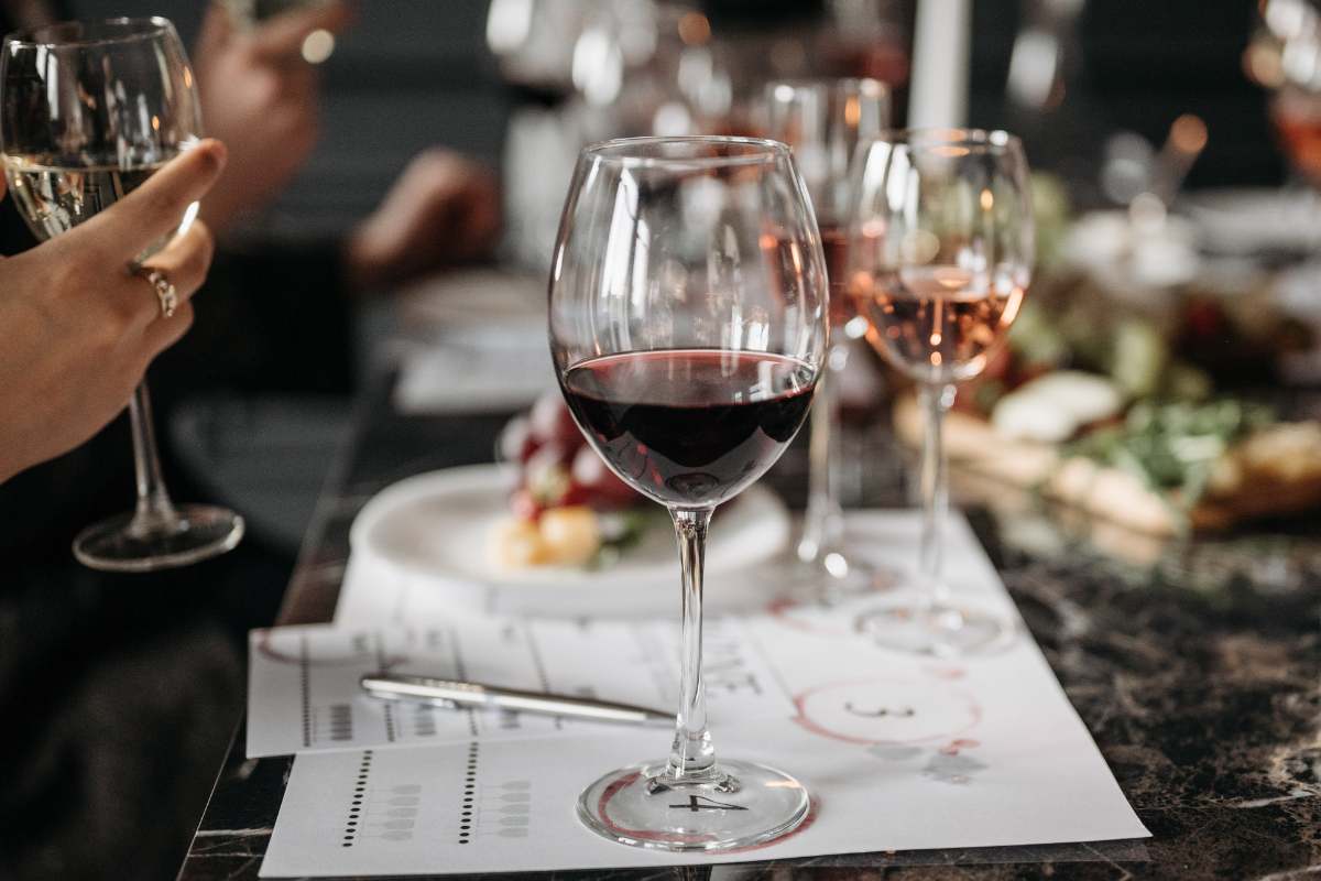Virginia Wine Tours