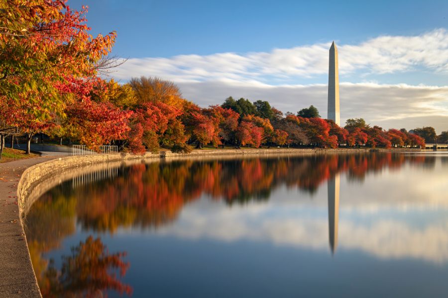 Washington DC Leaf Peeping 2025