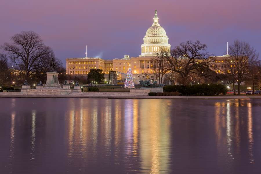 Washington DC Holiday Lights